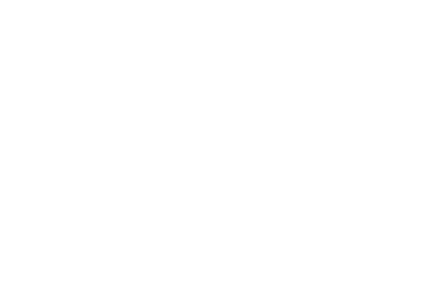 Wise Real Estate Logo